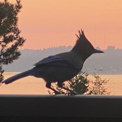 EastVashon's avatar