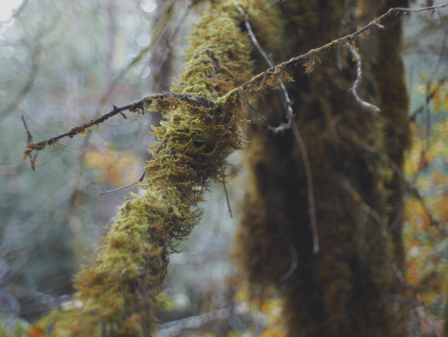 evan's profile header