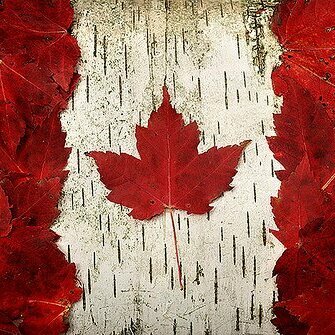 MeanwhileinCanada's avatar