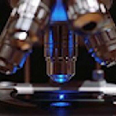 sflorg's avatar