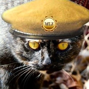 1finekitty's avatar