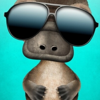 platypus's avatar