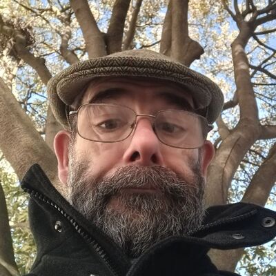 wibble's avatar
