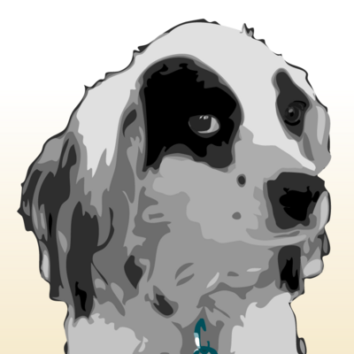 vansice's avatar