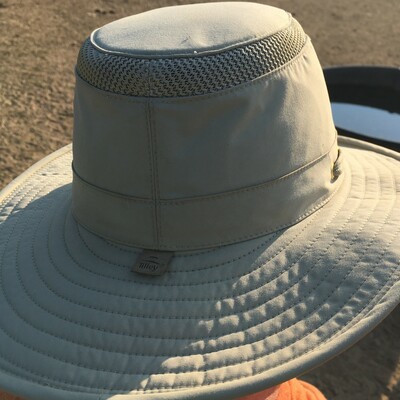 DaleHollow's avatar