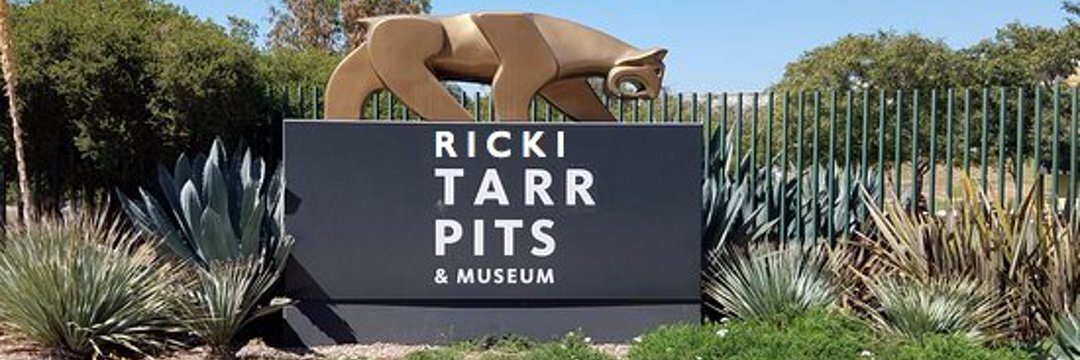 RickiTarr's profile header