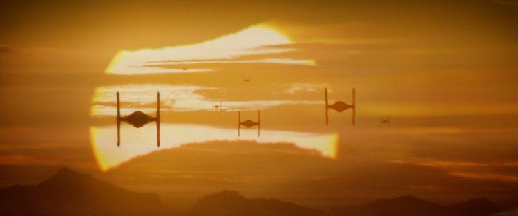 tvaziri's profile header