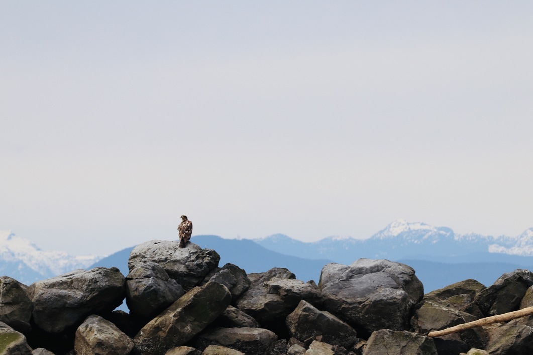 emilygorcenski's profile header