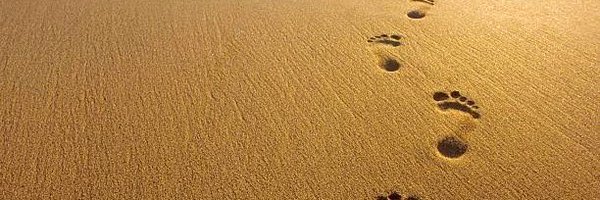 Tweetofgod's profile header