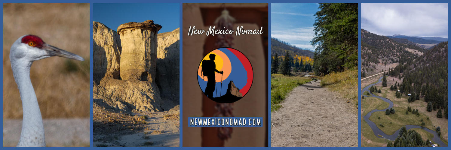 newmexiconomad's profile header