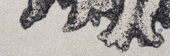 fediversereport's profile header