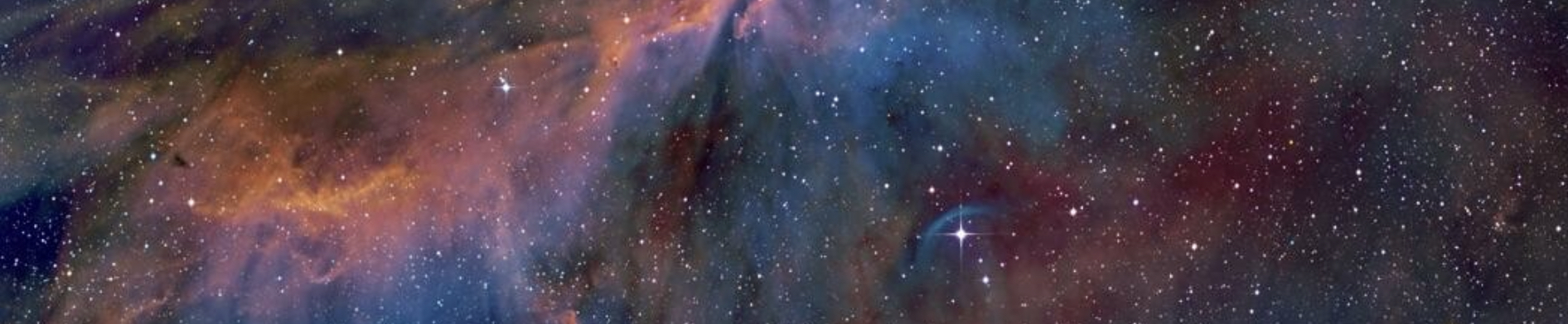 don's profile header