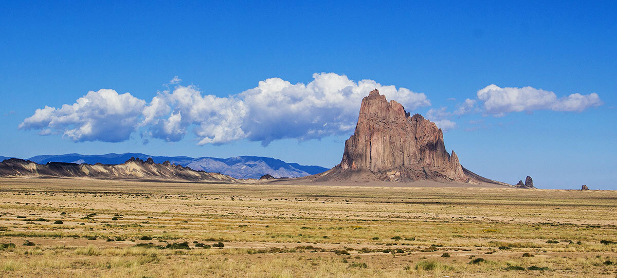 bosquebill's profile header