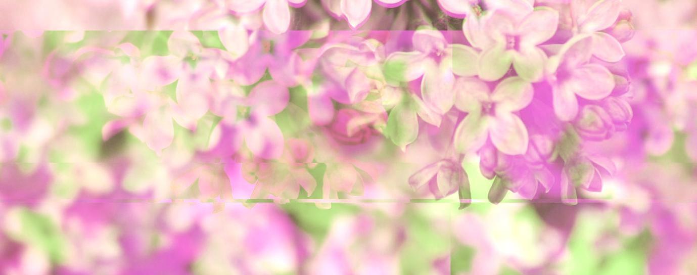 ekis's profile header