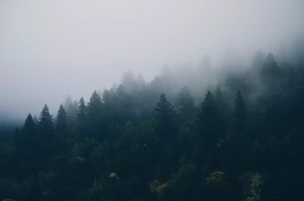 themadcodger's profile header