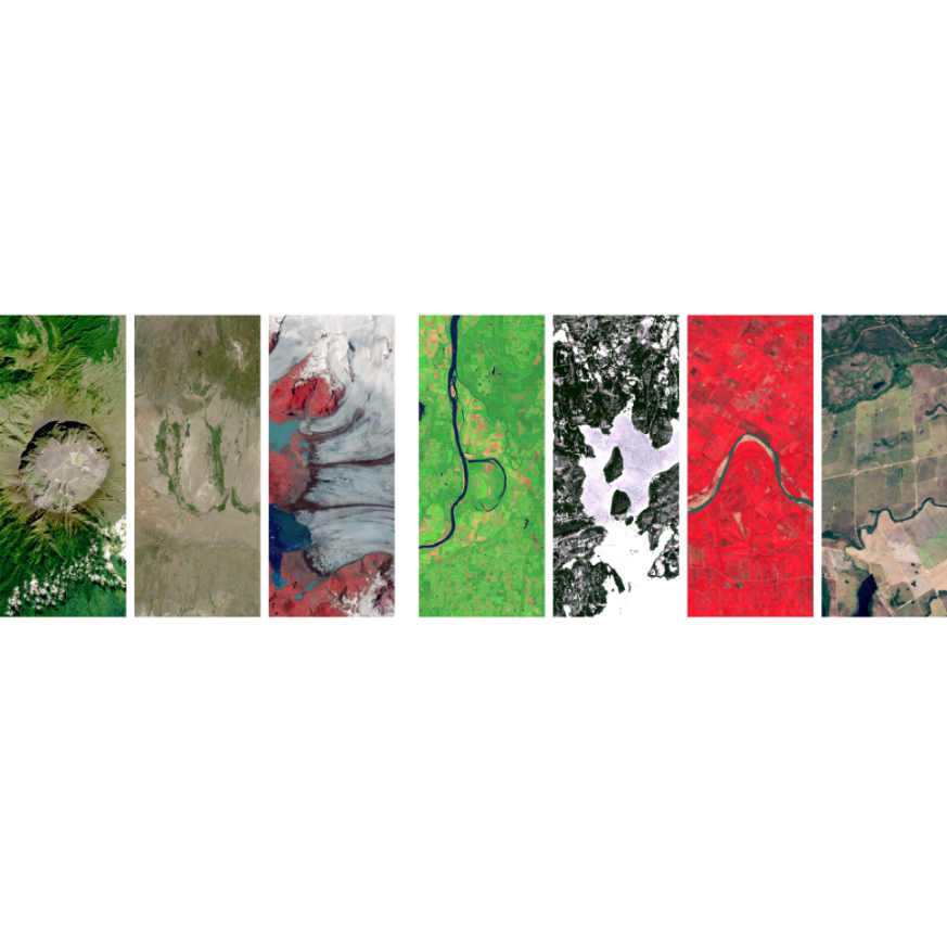 PhoenixSerenity's profile header