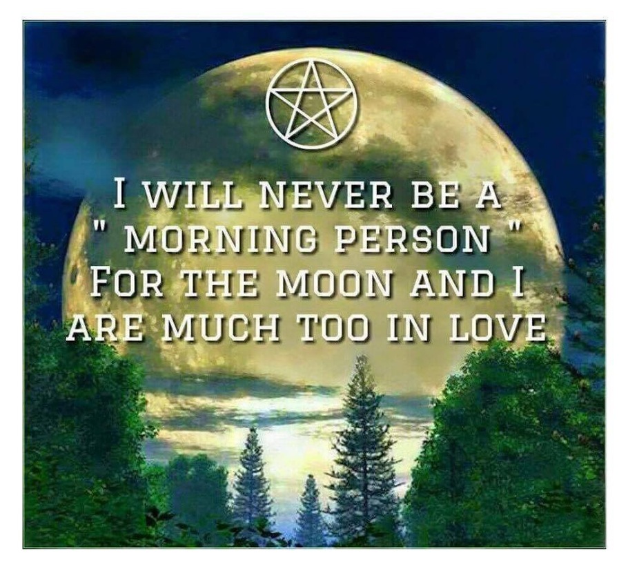 Pagan_Activist's profile header