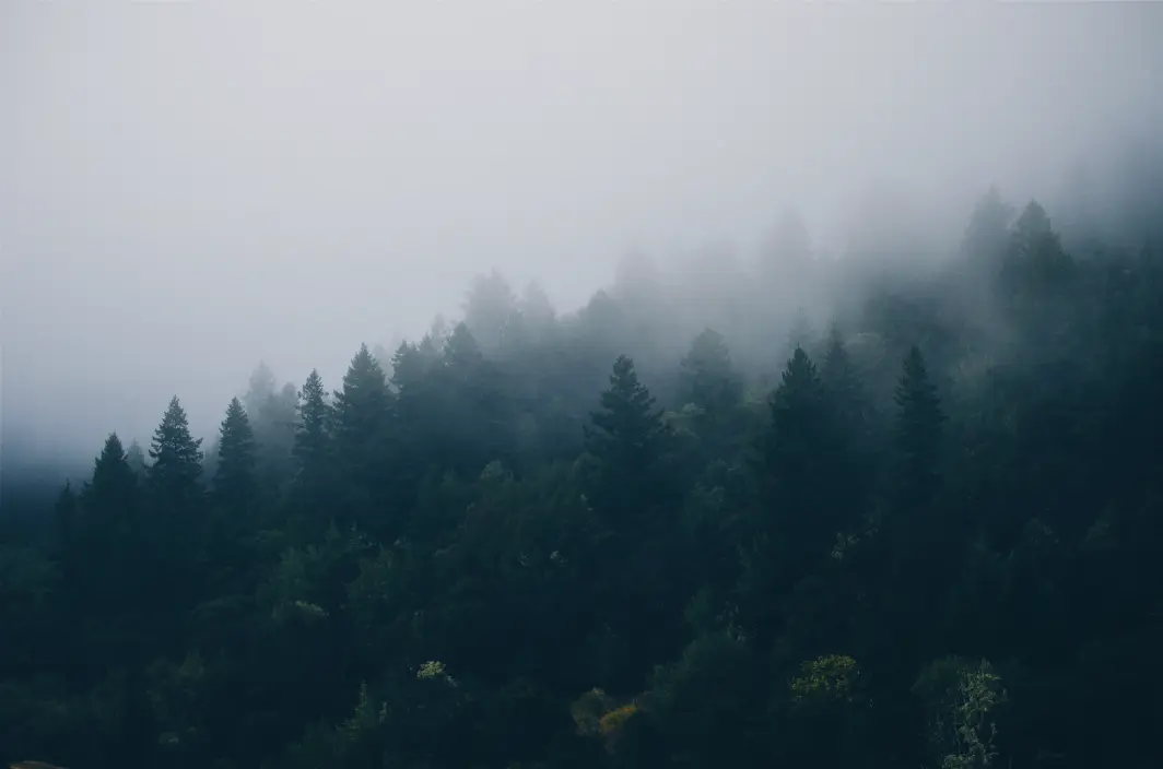 madcodger's profile header