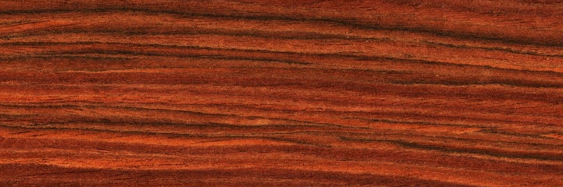 justbob's profile header