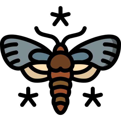 :moth_stars: