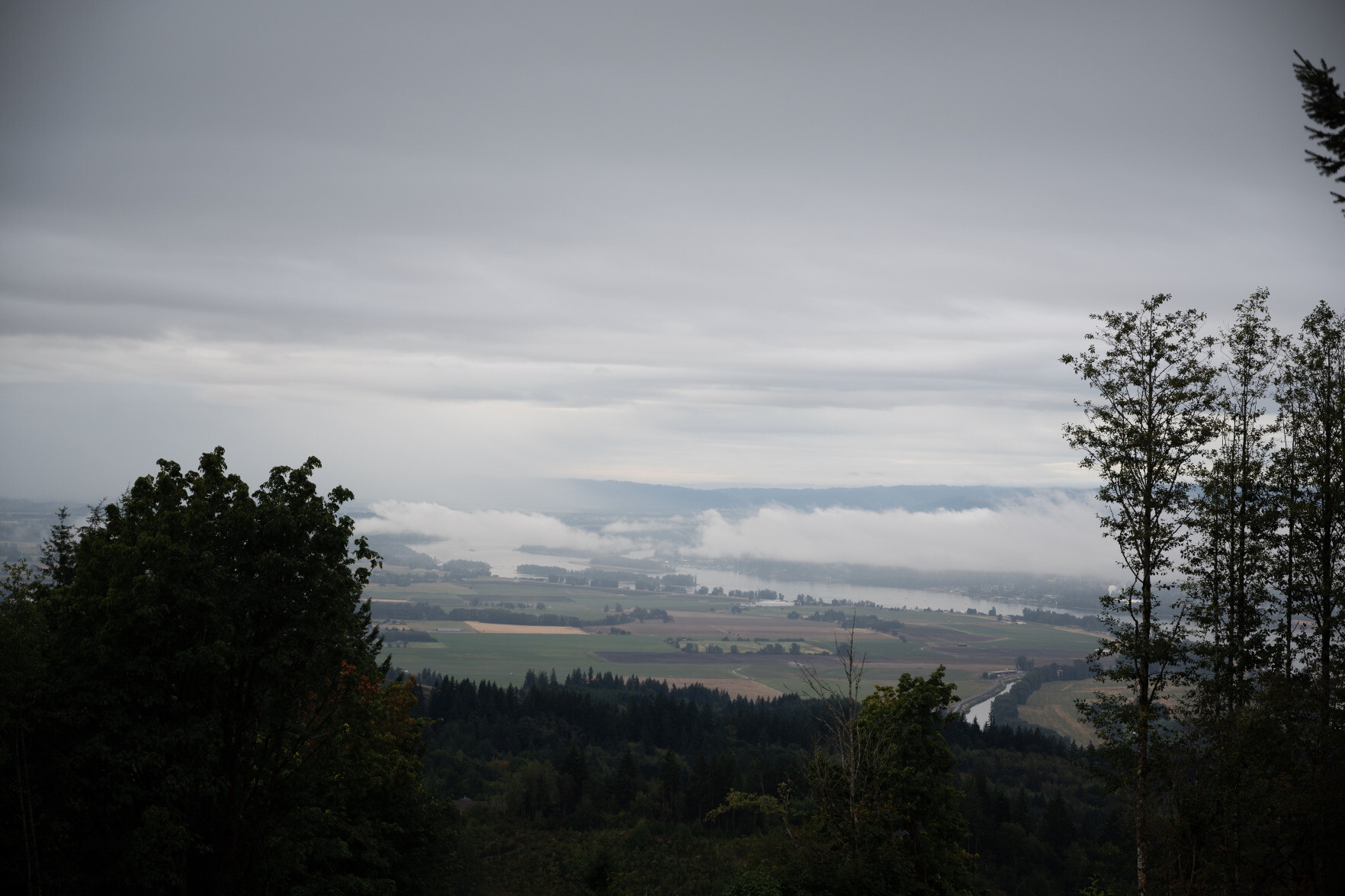 Photo of Columbia River beyond trees under clouds.