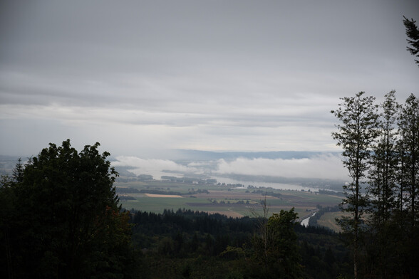 Photo of Columbia River beyond trees under clouds.