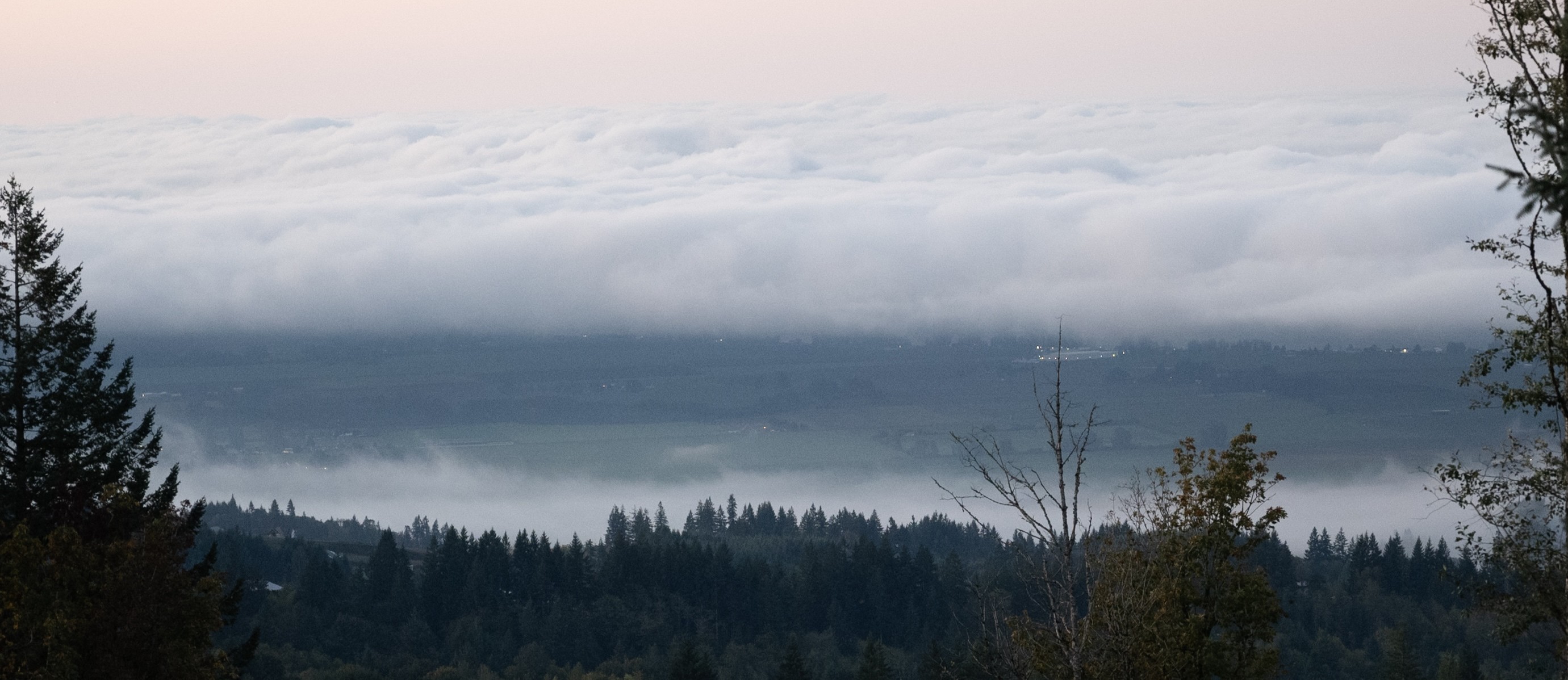 Photo of trees, river, thick cloud layer, morning sky.
