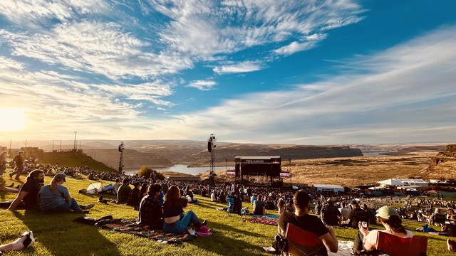 People gathered on the grass at a concert, enjoying the live music and vibrant energy of the event.