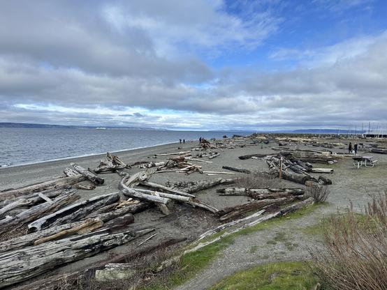 Beach with large drift wood logs. Patch of blue sky to the top right and Washington State Ferry in the distance. 