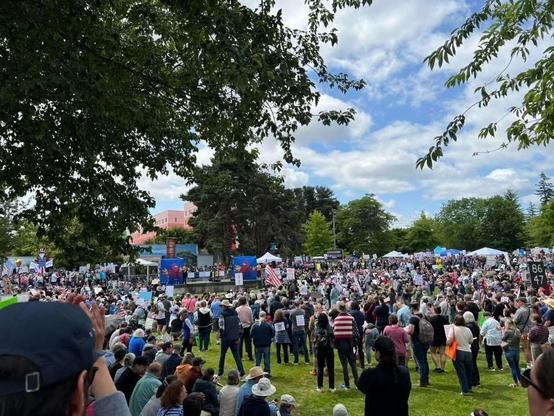Large peaceful crowds with signs and flags. 